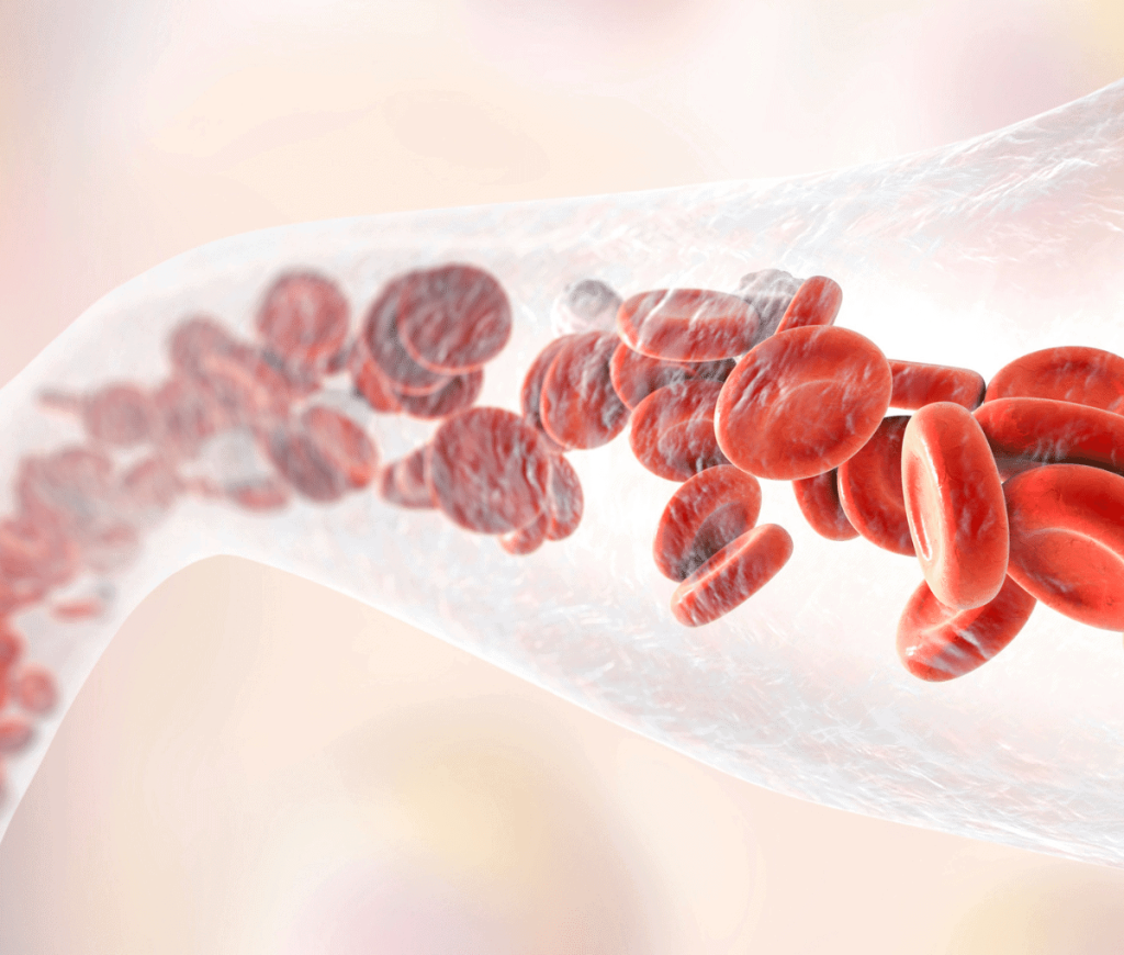 blood cells flowing through a vein - pain management