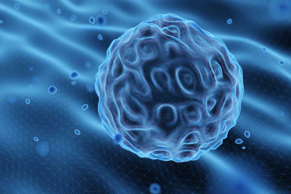 Stem Cells: Stem Cell Therapy